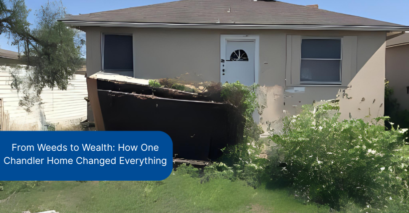 From Weeds to Wealth